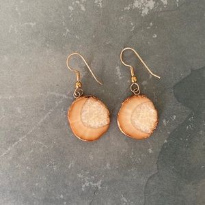 Petrified wood earrings